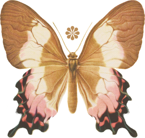 Kyra Aulani butterfly logo
